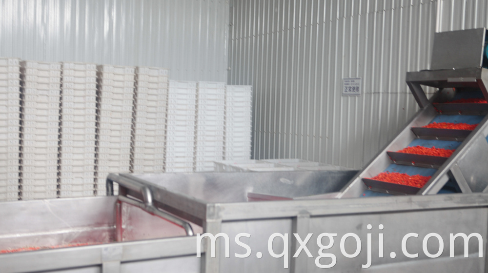 Professional Organic Goji Crude Juice